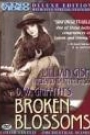 BROKEN BLOSSOMS