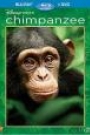 CHIMPANZEE