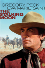 STALKING MOON, THE