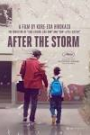 AFTER THE STORM