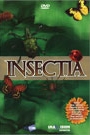 INSECTIA (3)