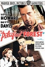 PETRIFIED FOREST, THE