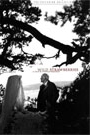 WILD STRAWBERRIES