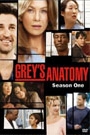 GREY'S ANATOMY - SEASON 1, DISC 1