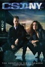 CSI NEW YORK - SEASON 1: DISC 1