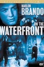 ON THE WATERFRONT