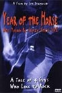 YEAR OF THE HORSE