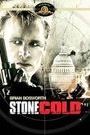 STONE COLD