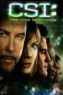 CSI - SEASON 8 (DISC 3)
