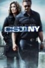 CSI NEW YORK - SEASON 5 (DISC 5)