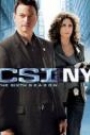 CSI NEW YORK - SEASON 6 (DISC 7)