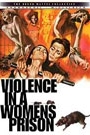 VIOLENCE IN A WOMEN'S PRISON