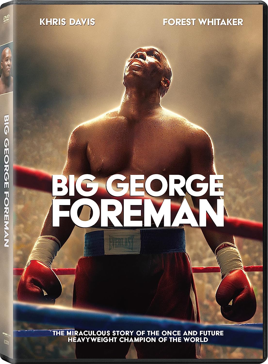 BIG GEORGE FOREMAN