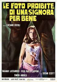 FORBIDDEN PHOTOS OF A LADY ABOVE SUSPICION, THE
